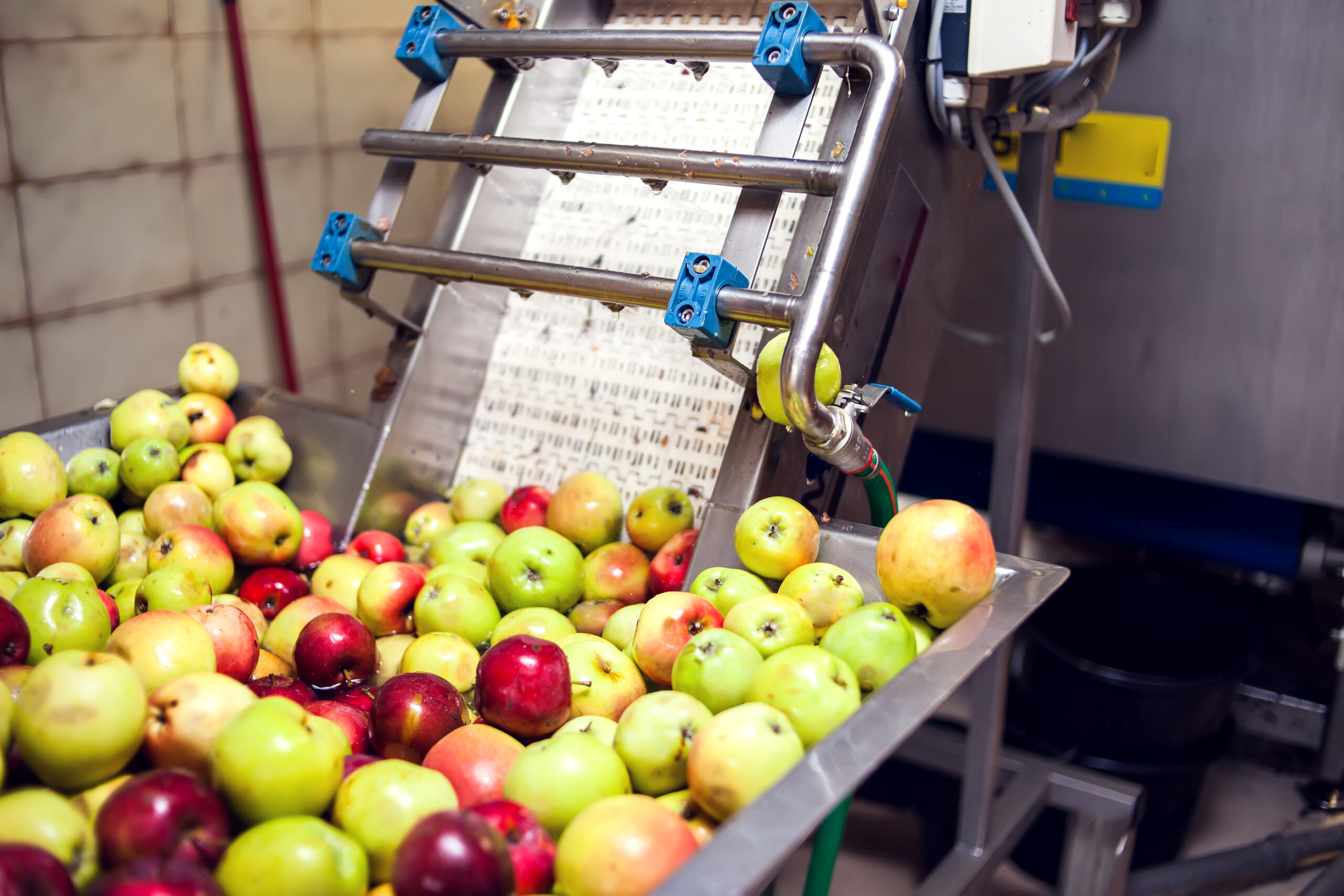 Processing-Of-Apples-For-Cider